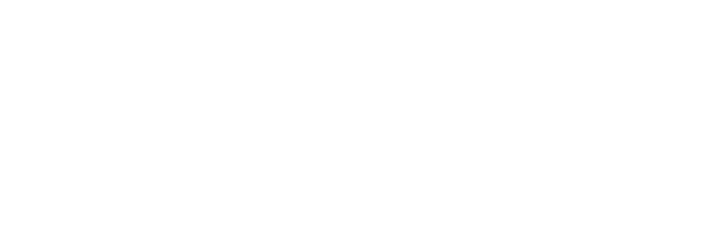 VPO Logo@4x